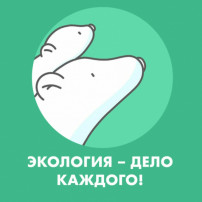 СТАРТ V Международной детско-юношеской премии «Экология - дело каждого» СТАРТ V Международной детско-юношеской премии «Экология - дело каждого».