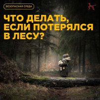 Что делать, если потерялся в лесу? Что делать, если потерялся в лесу?.